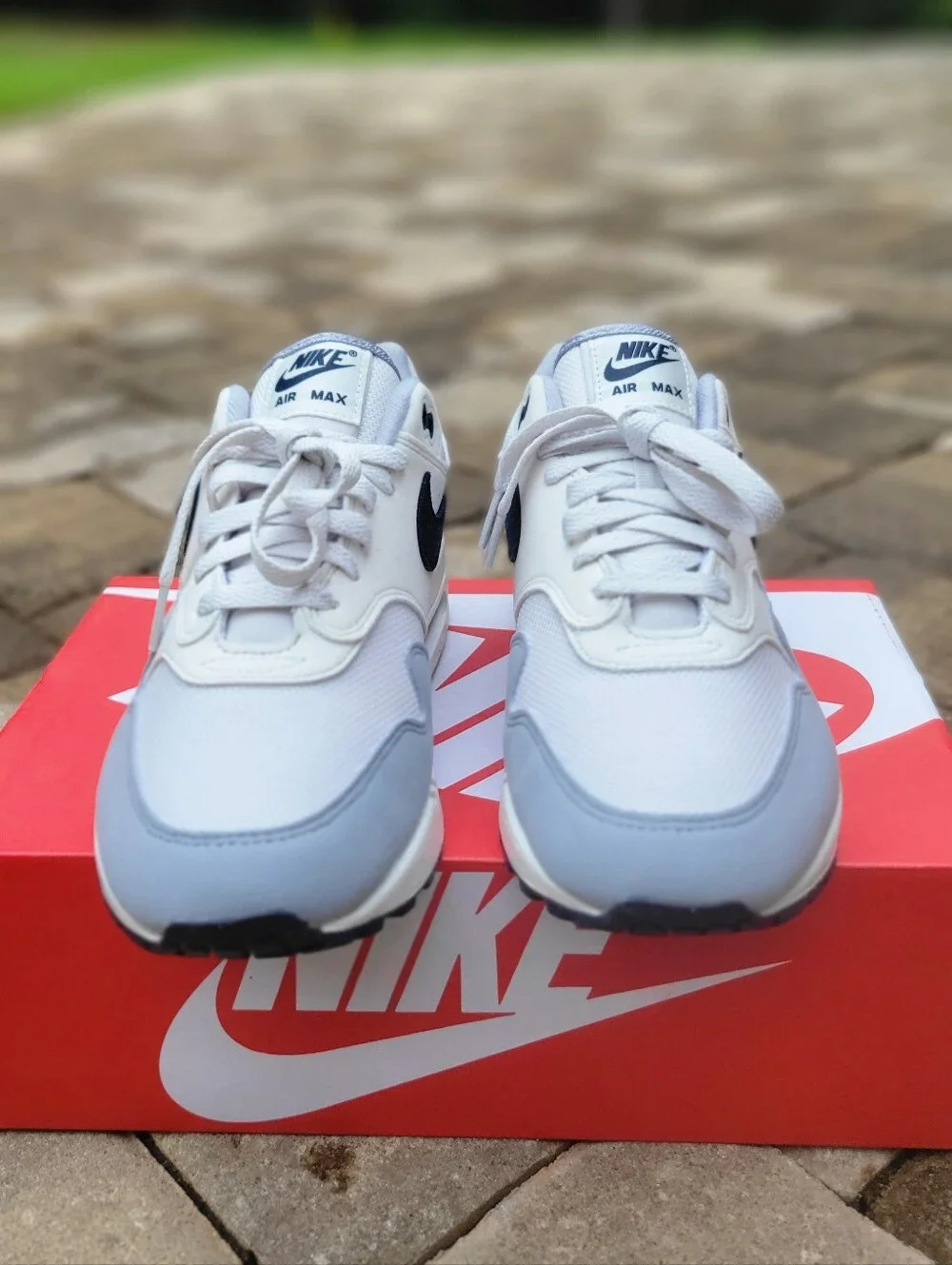 Nike Air Max 1 'Platinum Dark Obsidian'